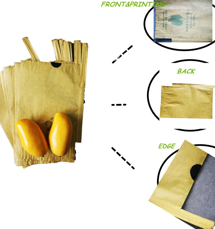 Fruit Cover Mango Fruit Protection Bags Paper